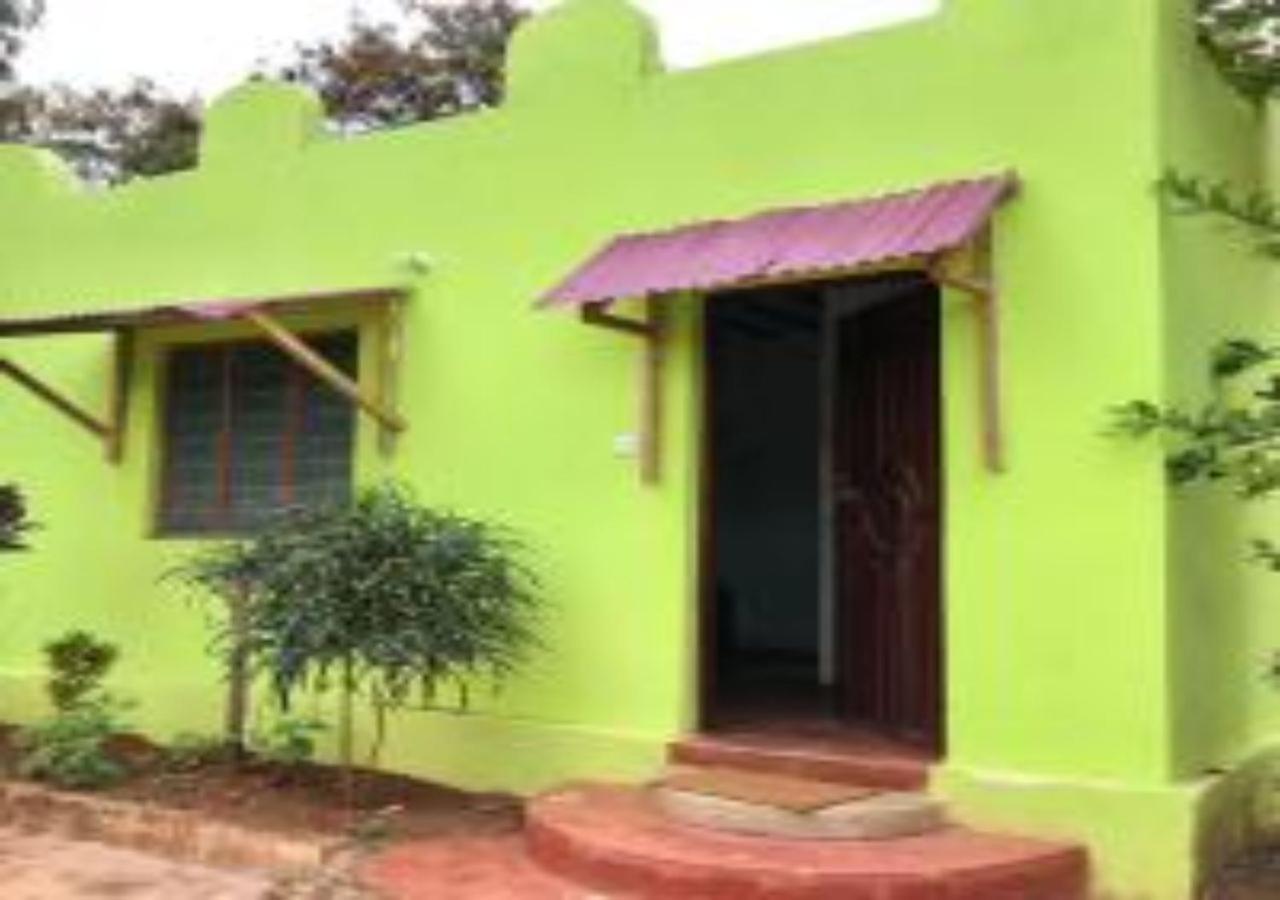Ferienwohnung Magharibi House Nungwi Exterior foto